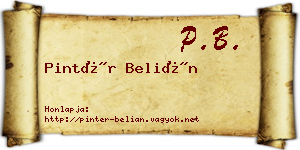 Pintér Belián névjegykártya