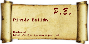 Pintér Belián névjegykártya